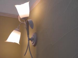 塗り壁の模様です、日中と夜の照明で見え方が変わっていい感じですよぉ〜＾＾